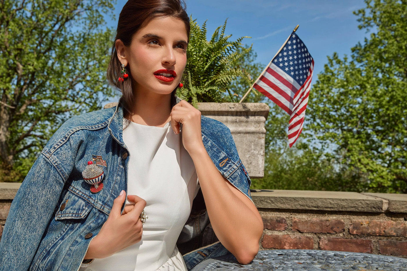 HEIDI DAUS® "Independence Parfait" Crystal & Enamel Patriotic Pin HEIDI DAUS®