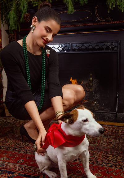 Woman with a dog wearing a red bow tie in a cozy room with a fireplace.