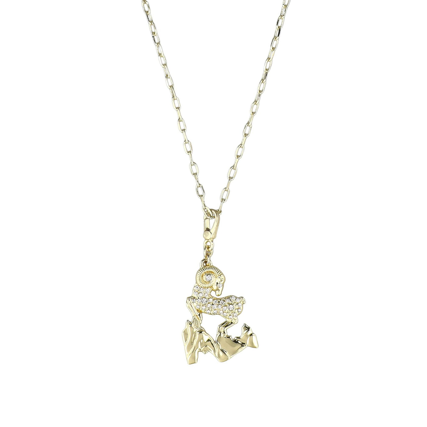 HEIDI DAUS® “Cosmic Signs” Crystal Zodiac Charm Necklace