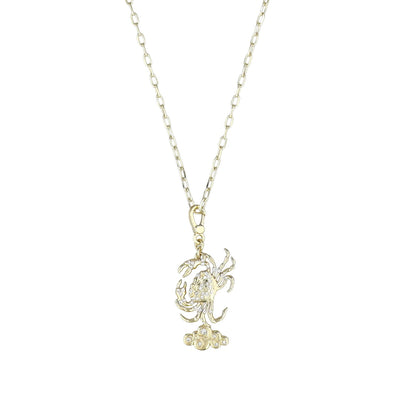 HEIDI DAUS® “Cosmic Signs” Crystal Zodiac Charm Necklace