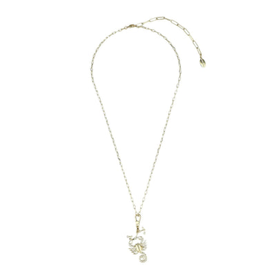 HEIDI DAUS® “Cosmic Signs” Crystal Zodiac Charm Necklace