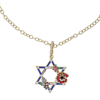 HEIDI DAUS®"Star Of David" Crystal Enhancer Pendant Chain Necklace