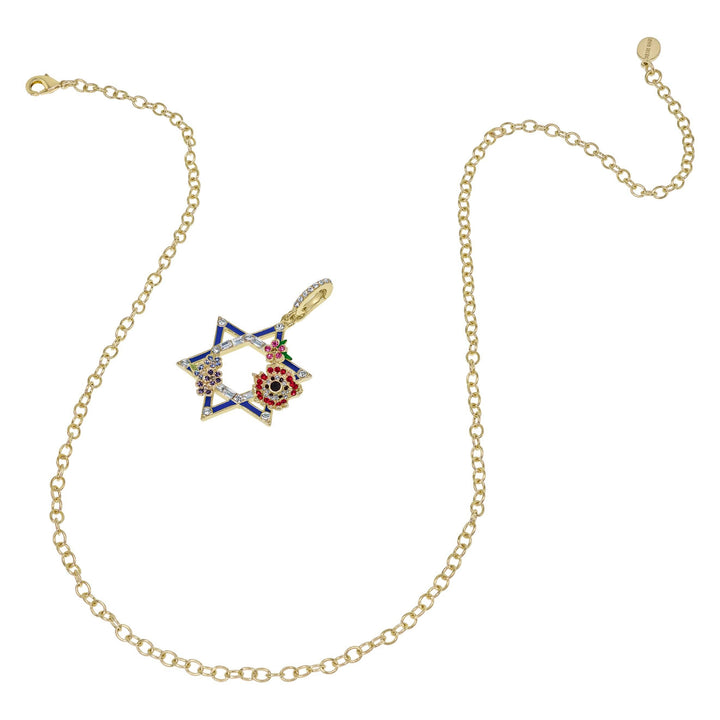 HEIDI DAUS®"Star Of David" Crystal Enhancer Pendant Chain Necklace HEIDI DAUS®