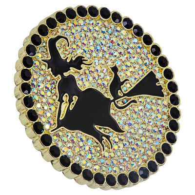 Heidi Daus® "Moonlight Cruise"Crystal & Enamel Witch Pin