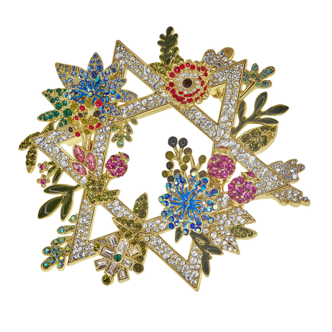 HEIDI DAUS® "Protection, Unity &amp; Hope" Crystal Floral Star of David Brooch HEIDI DAUS®