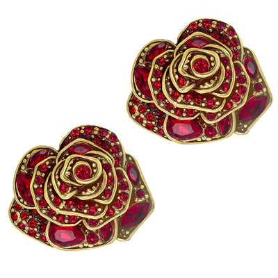 HEIDI DAUS®"Showered With Flowers" Crystal Pin & Earring Set