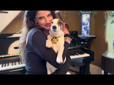 Heidi Daus® "Grand Pretty Paw Print”  Animal Lover Paw Brooch/Pin