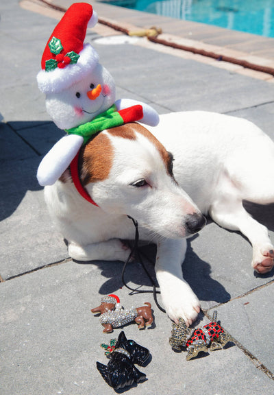 HEIDI DAUS®"Yule Dog" Crystal & Enamel Holiday Dog Pin