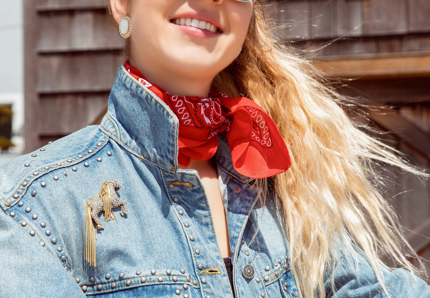 HEIDI DAUS®"Tally- Ho" Crystal Chain Horse Pin - Heidi Daus®