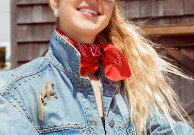 HEIDI DAUS®"Tally- Ho" Crystal Chain Horse Pin - Heidi Daus®